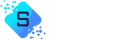 logo SALV Konsalting